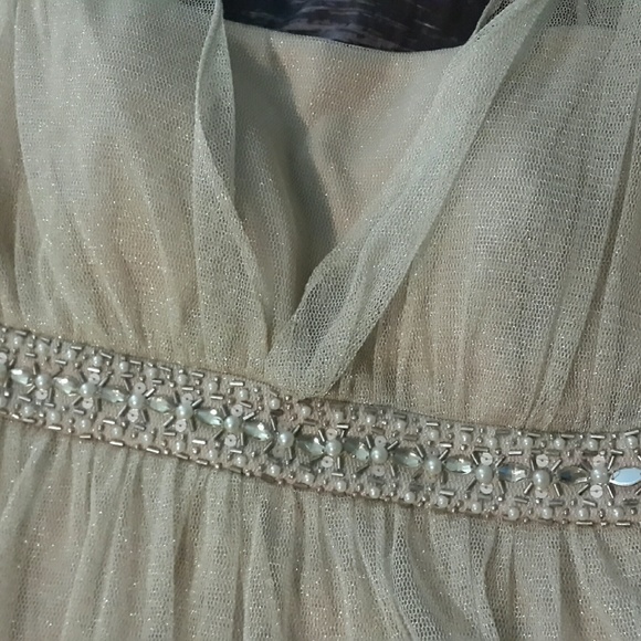 Gold Holiday Dress. Used only once!