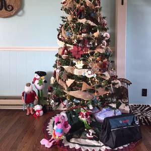 Meet your Posher, Ginger