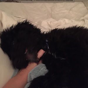 Meet your Posher, Suzanne