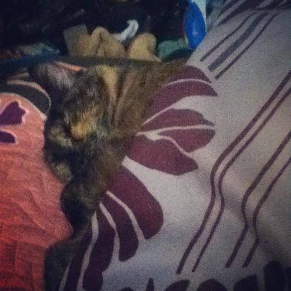 Meet your Posher, Natasha