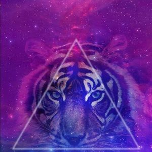 Meet your Posher, Sariel