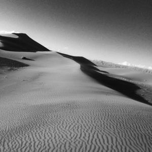 Meet your Posher, Jillian