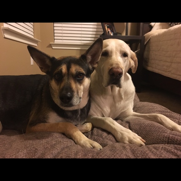 Meet your Posher, Tricia