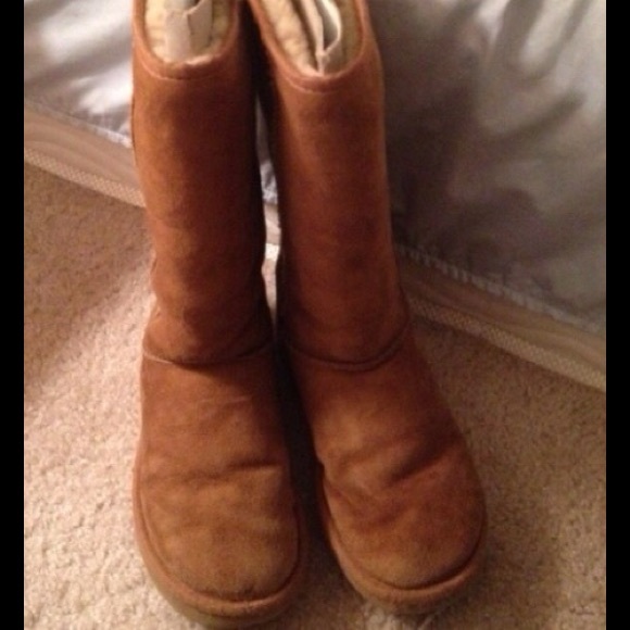 Tall Authentic Chestnut Uggs