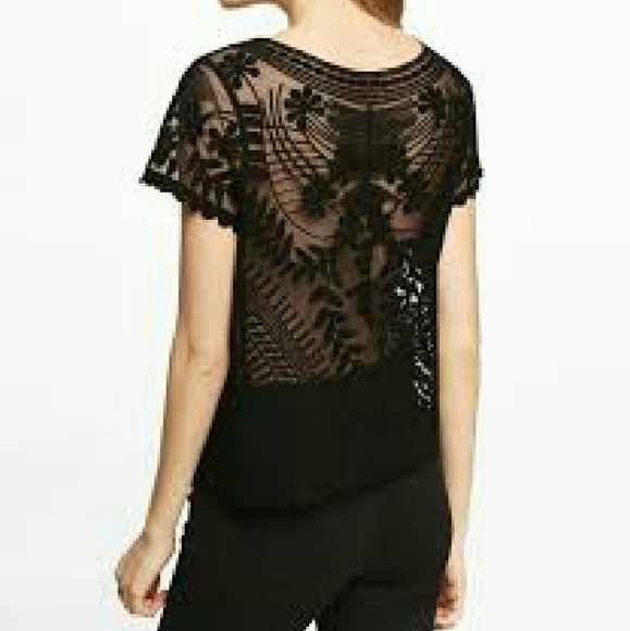 Express top - Picture 2 of 2