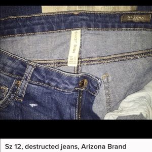 Bundle - Gap Jeans and Arizona Destruction Jeans