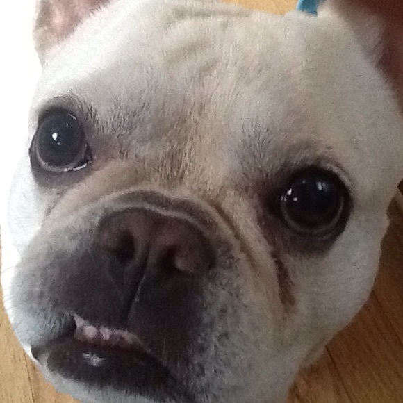 Meet your Posher, Chloe