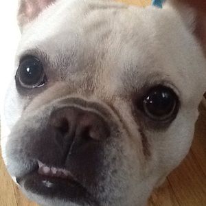 Meet your Posher, Chloe