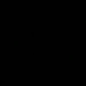 Meet your Posher, Brianne