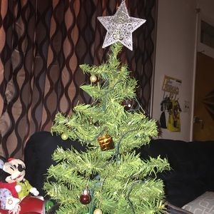 Meet your Posher, Lynette