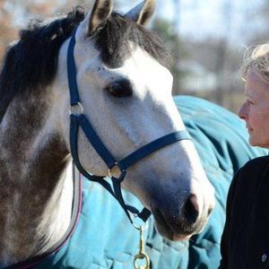 Meet your Posher, Suzanne