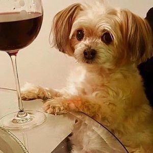 Meet your Posher, Anahi