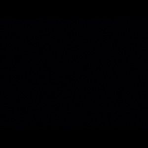 Meet your Posher, Cj