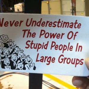 Meet your Posher, Brad