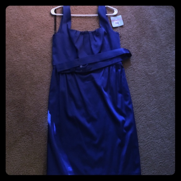 Suzi Chin for Maggy London Blue Sleeveless Dress