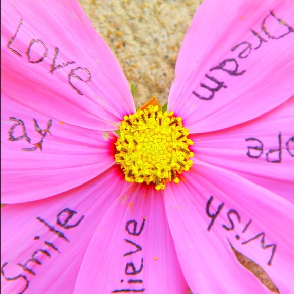 Meet your Posher, Aimee - Picture 2 of 2