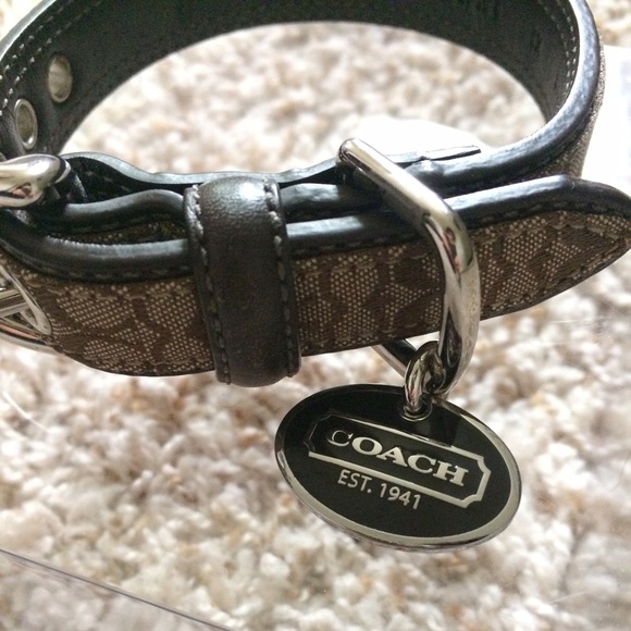 coach cat collar