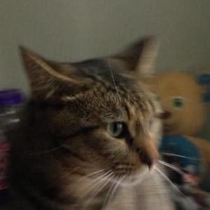 Meet your Posher, Breanna