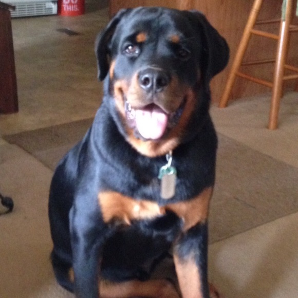 🌟SUGGESTED USER🌟MENTOR🌟 - Picture 2 of 5