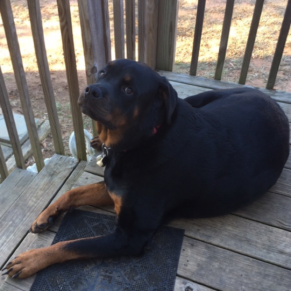 🌟SUGGESTED USER🌟MENTOR🌟 - Picture 4 of 5