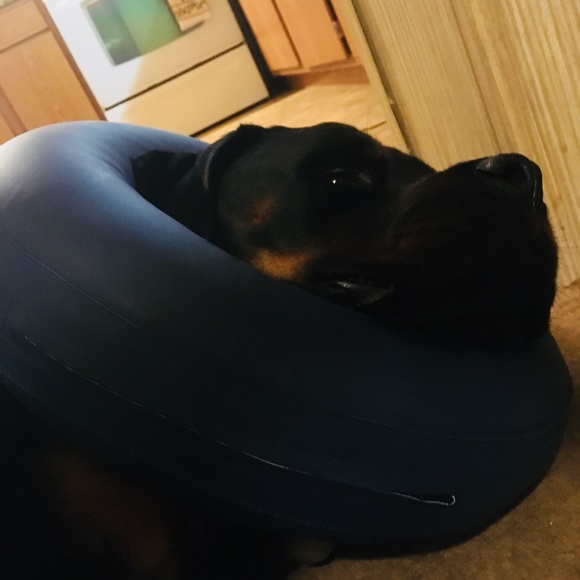 🌟SUGGESTED USER🌟MENTOR🌟 - Picture 5 of 5