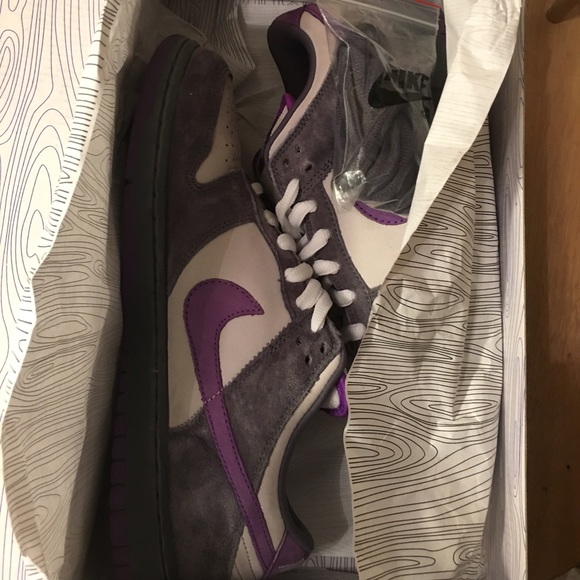 Nike SB 'Purple Pigeons'