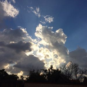 Meet your Posher, Bette