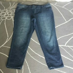 Lane Bryant Skinny Jeans
