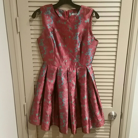 BB Dakota Dress