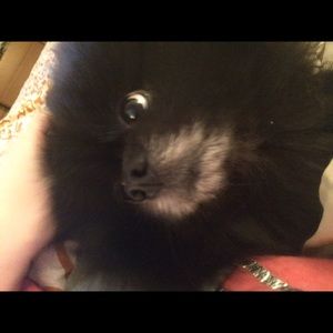 Meet your Posher, Tyrie