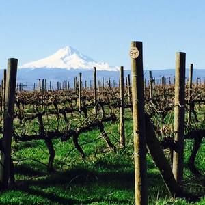 Meet your Posher, Teresa