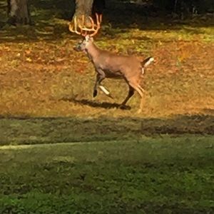 Meet your Posher, Bryce