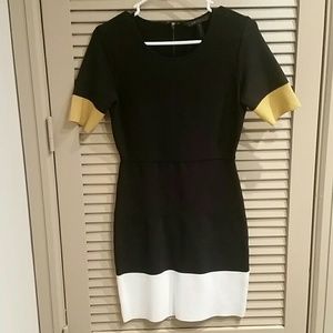 BCBG Colorblock Dress