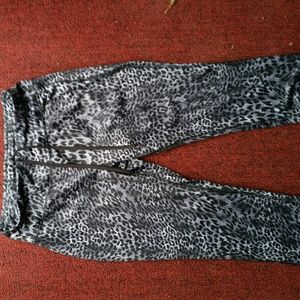 Leopard stretch Capri