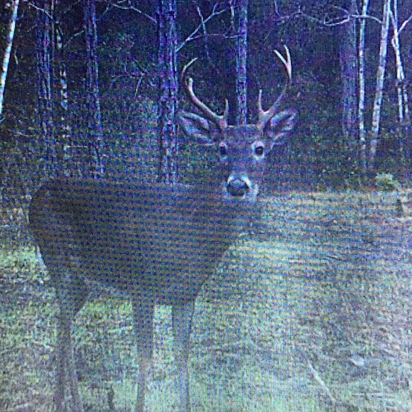 Meet your Posher, Andrew - Picture 1 of 1