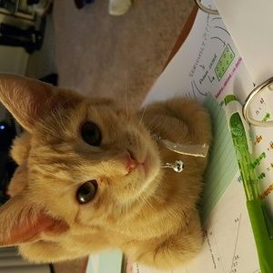 Meet your Posher, Rebecca