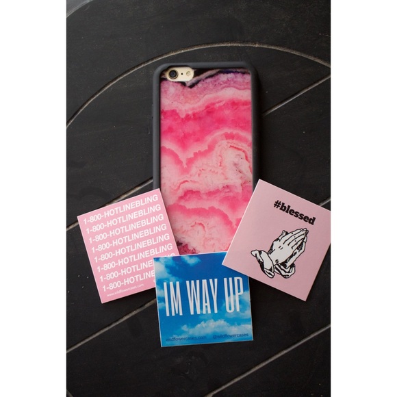 Pink Stone iPhone 6 Plus Wildflower Case