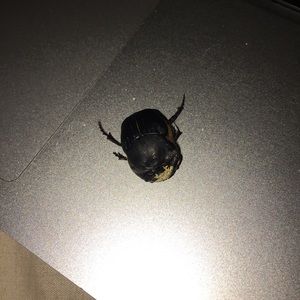 Meet your Posher, Jay