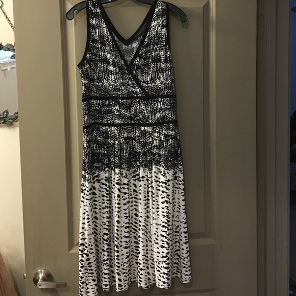 BCBG fit and flare a-Line skier dress