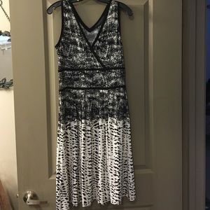 BCBG fit and flare a-Line skier dress