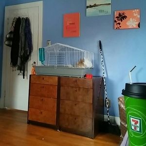 Meet your Posher, Shana