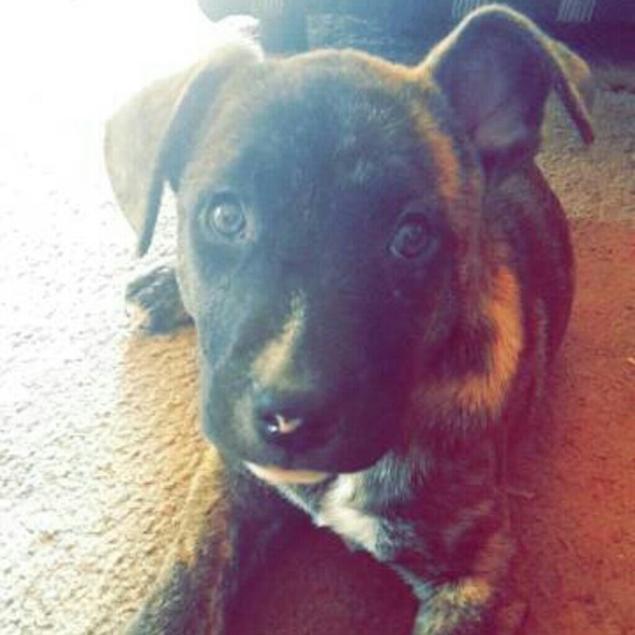 SALE!!!! EVERYTHING MUST GO !!!!!