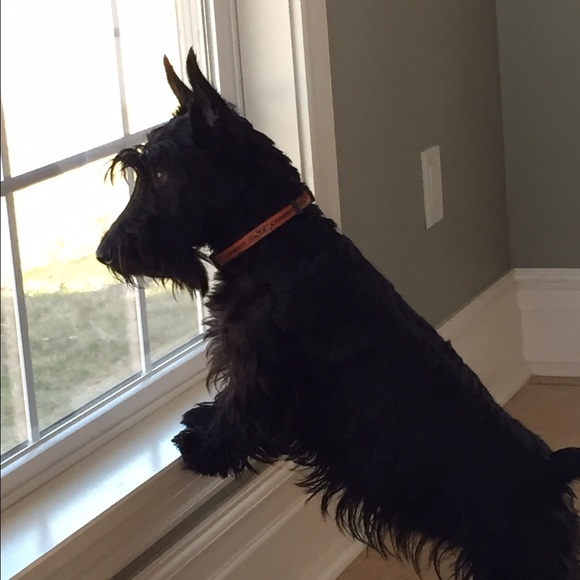 Meet your Posher, Val - Picture 1 of 1