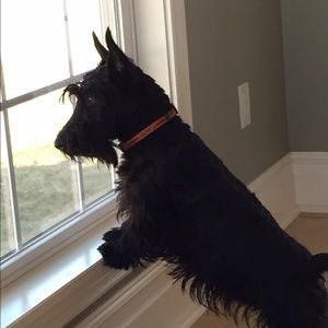 Meet your Posher, Val