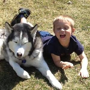 Meet your Posher, Steven