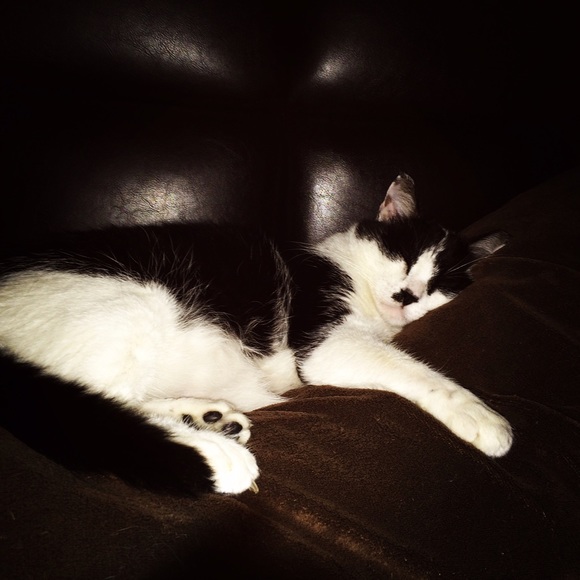 Meet your Posher, Maribel