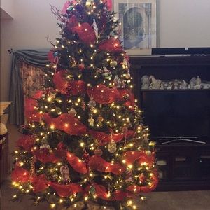 Meet your Posher, Terry