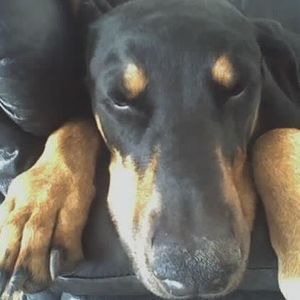 Meet your Posher, Sachiyo