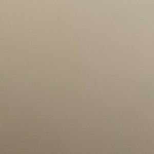 Meet your Posher, Letty