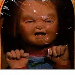 Meet your Posher, Jess